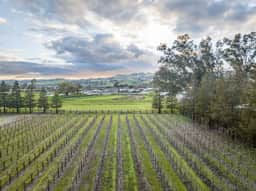 Vineyard-House Escape in Sonoma Wine Country
