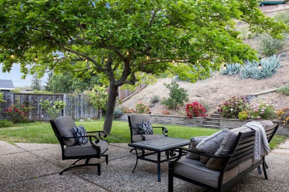 Marin County Haven